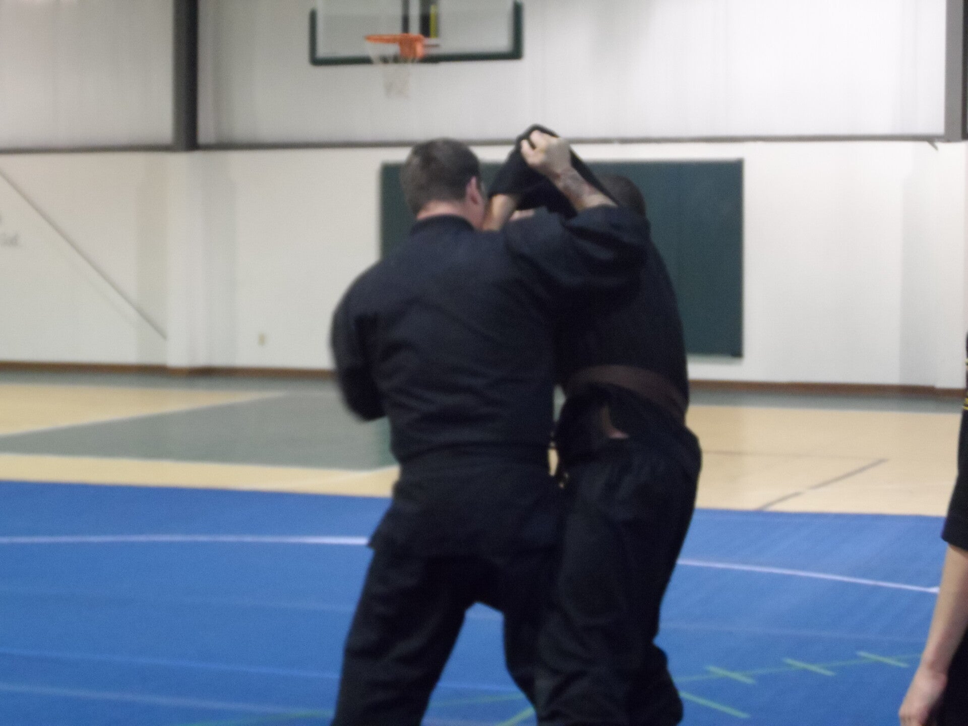 ninjutsu-135-standard.jpg