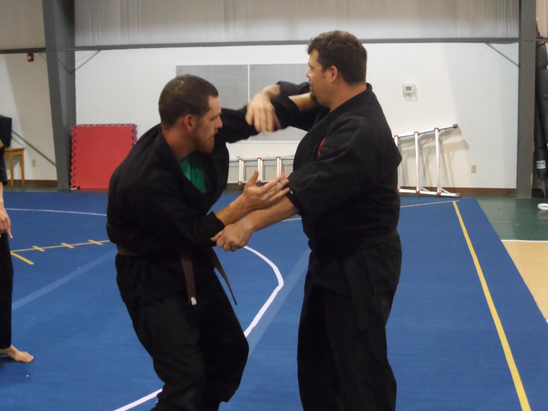 ninjutsu-181-standard-apde91.jpg