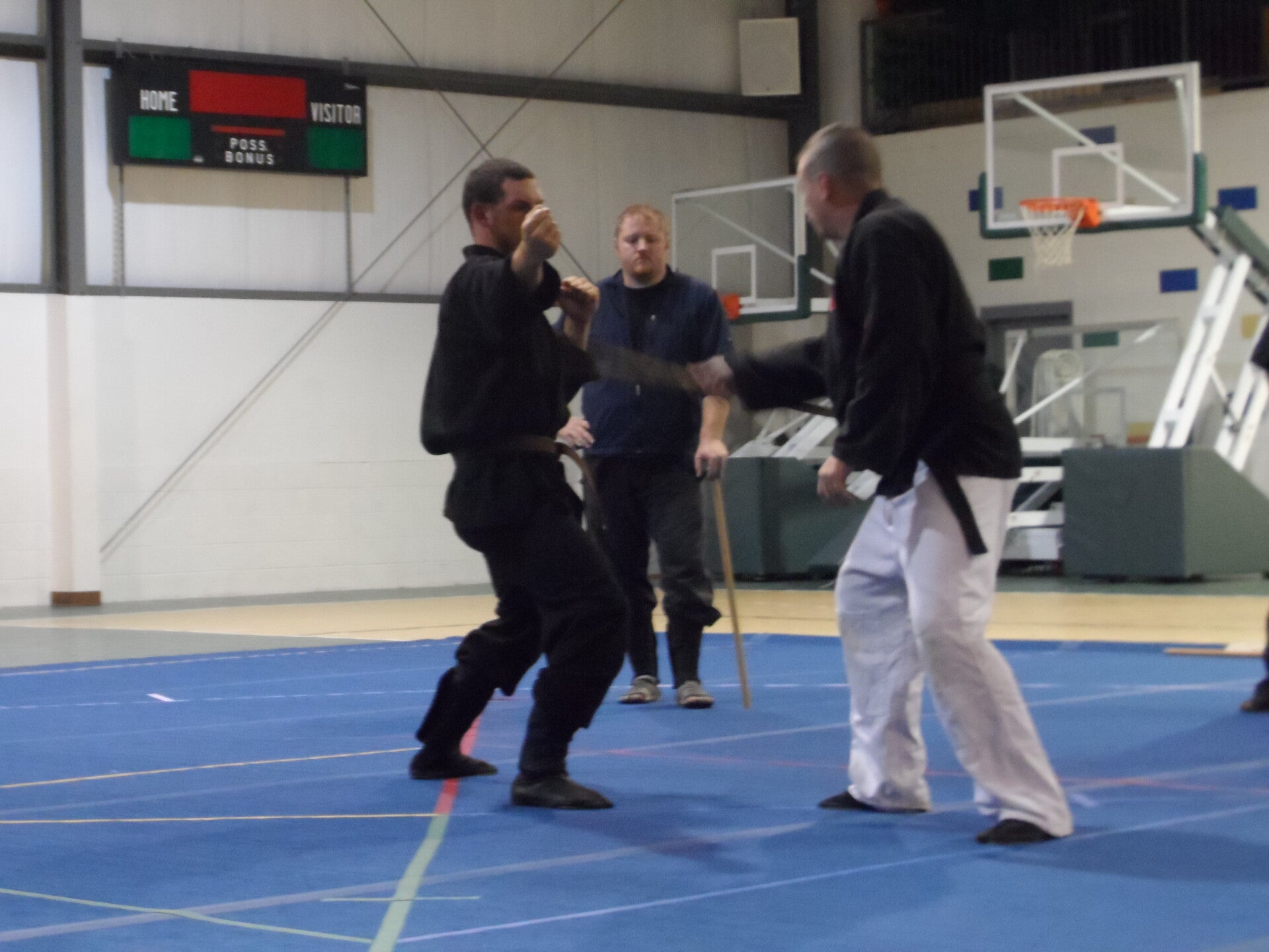 ninjutsu-204-standard.jpg