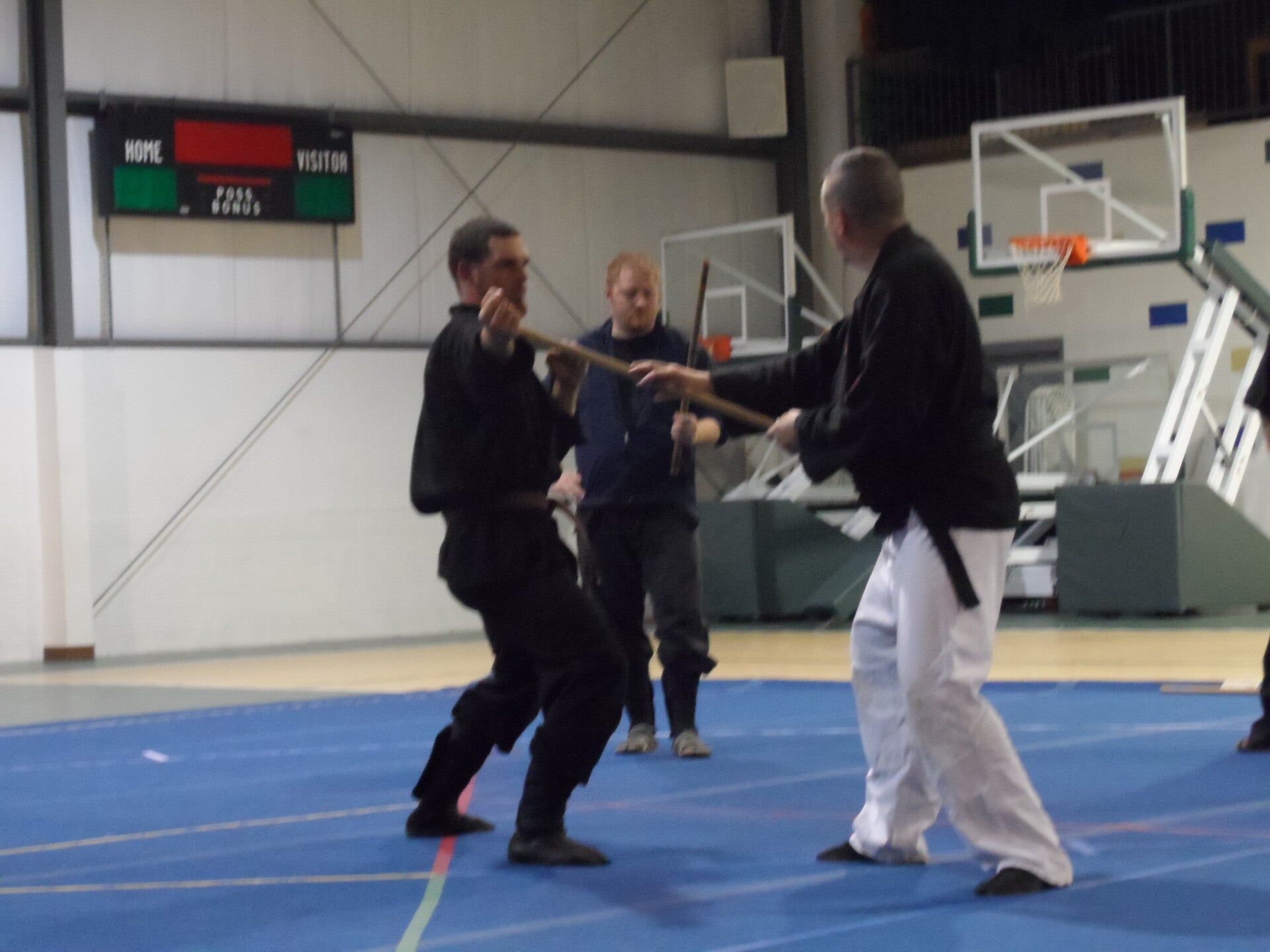 ninjutsu-207-standard.jpg
