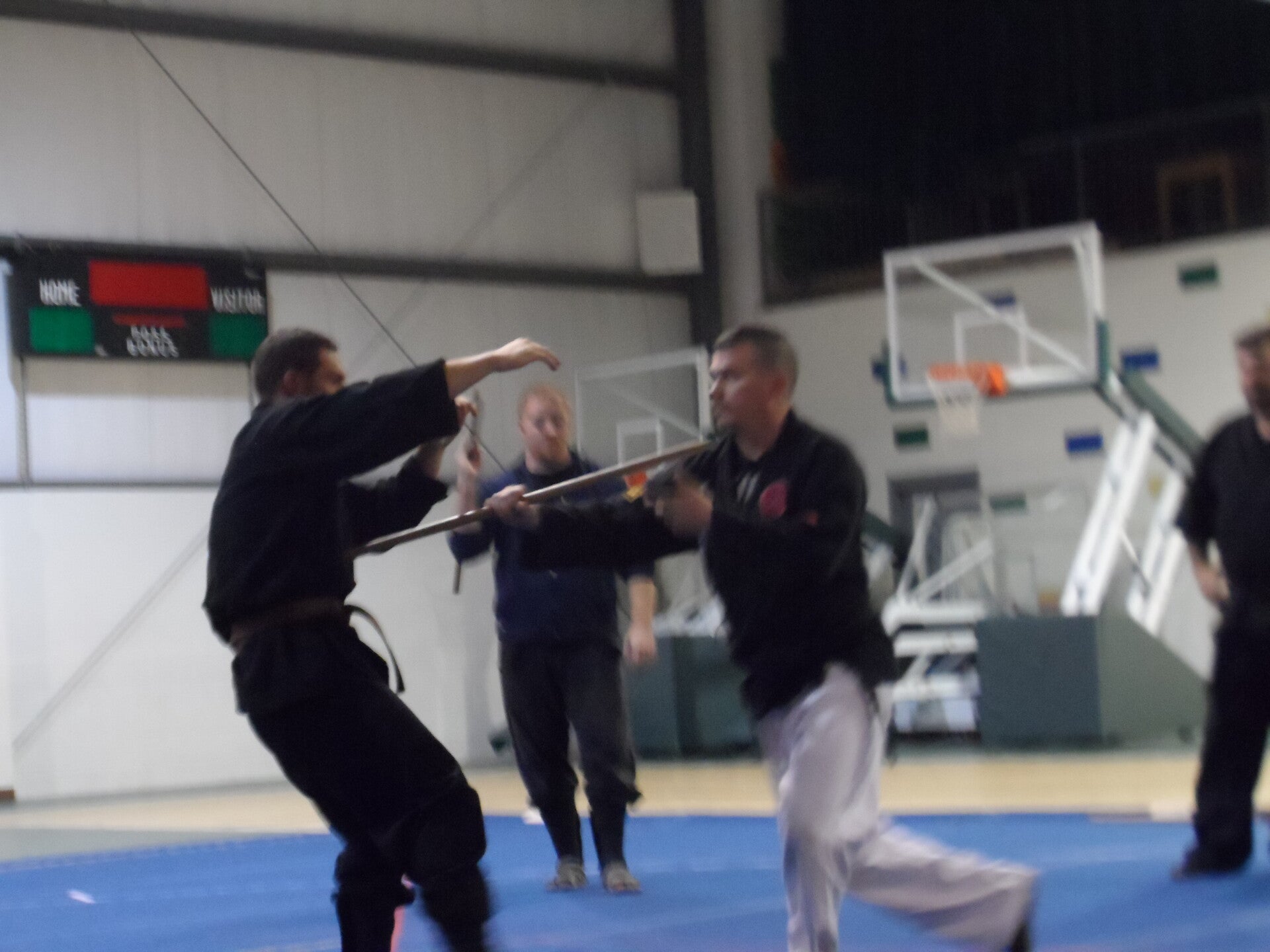 ninjutsu-210-standard.jpg