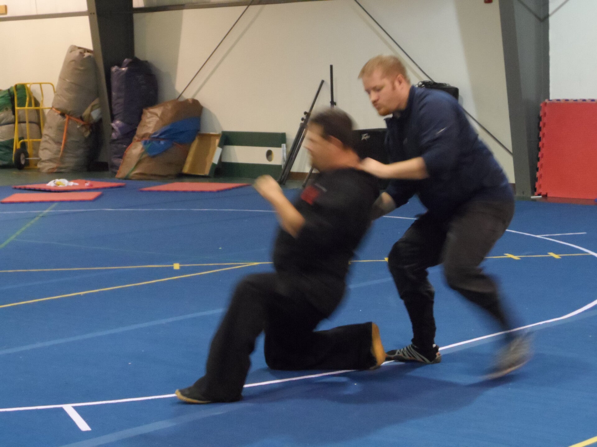 ninjutsu-241-standard.jpg