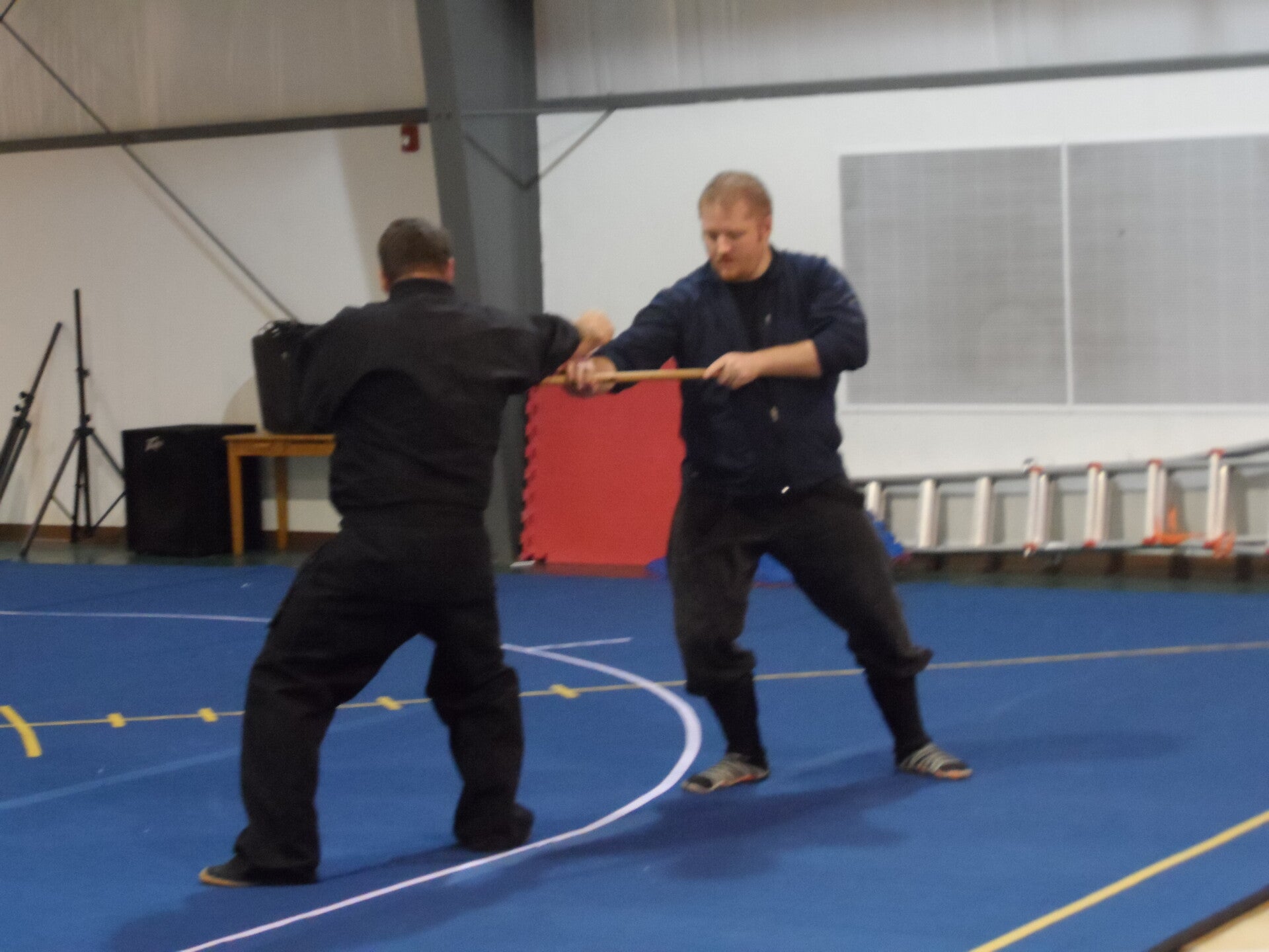 ninjutsu-245-standard.jpg