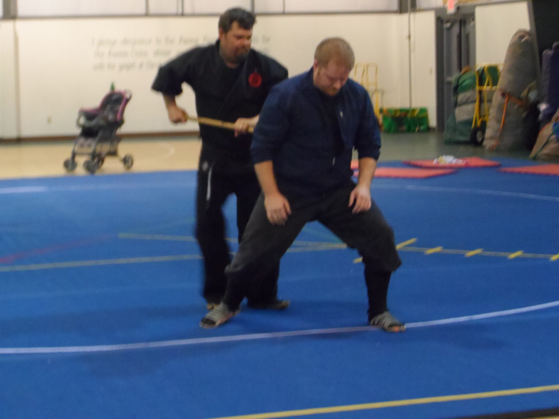 ninjutsu-250-standard.jpg