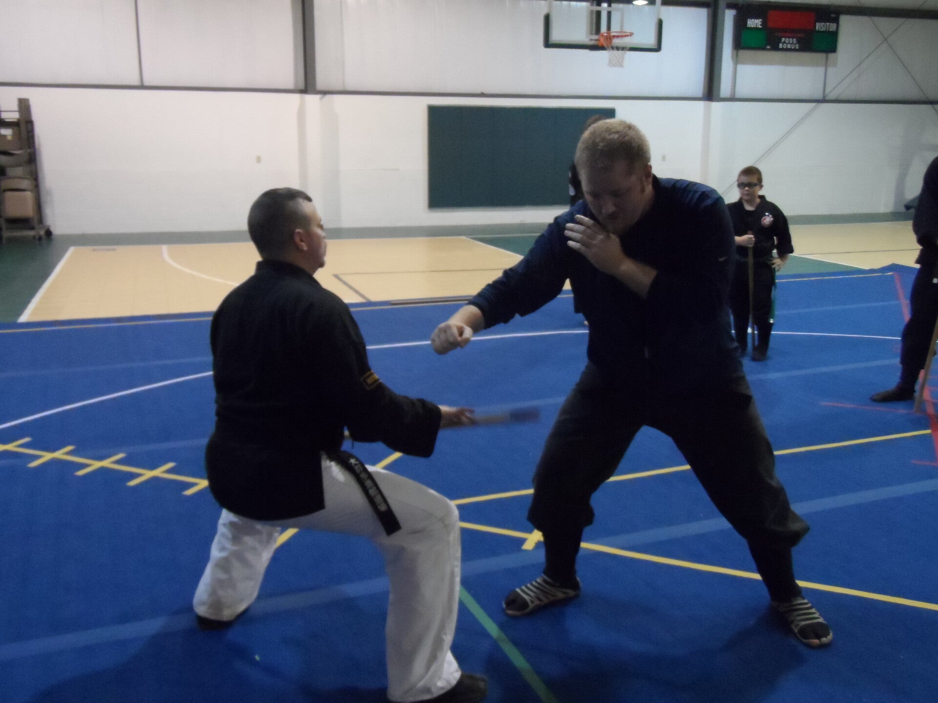 ninjutsu-336-standard.jpg