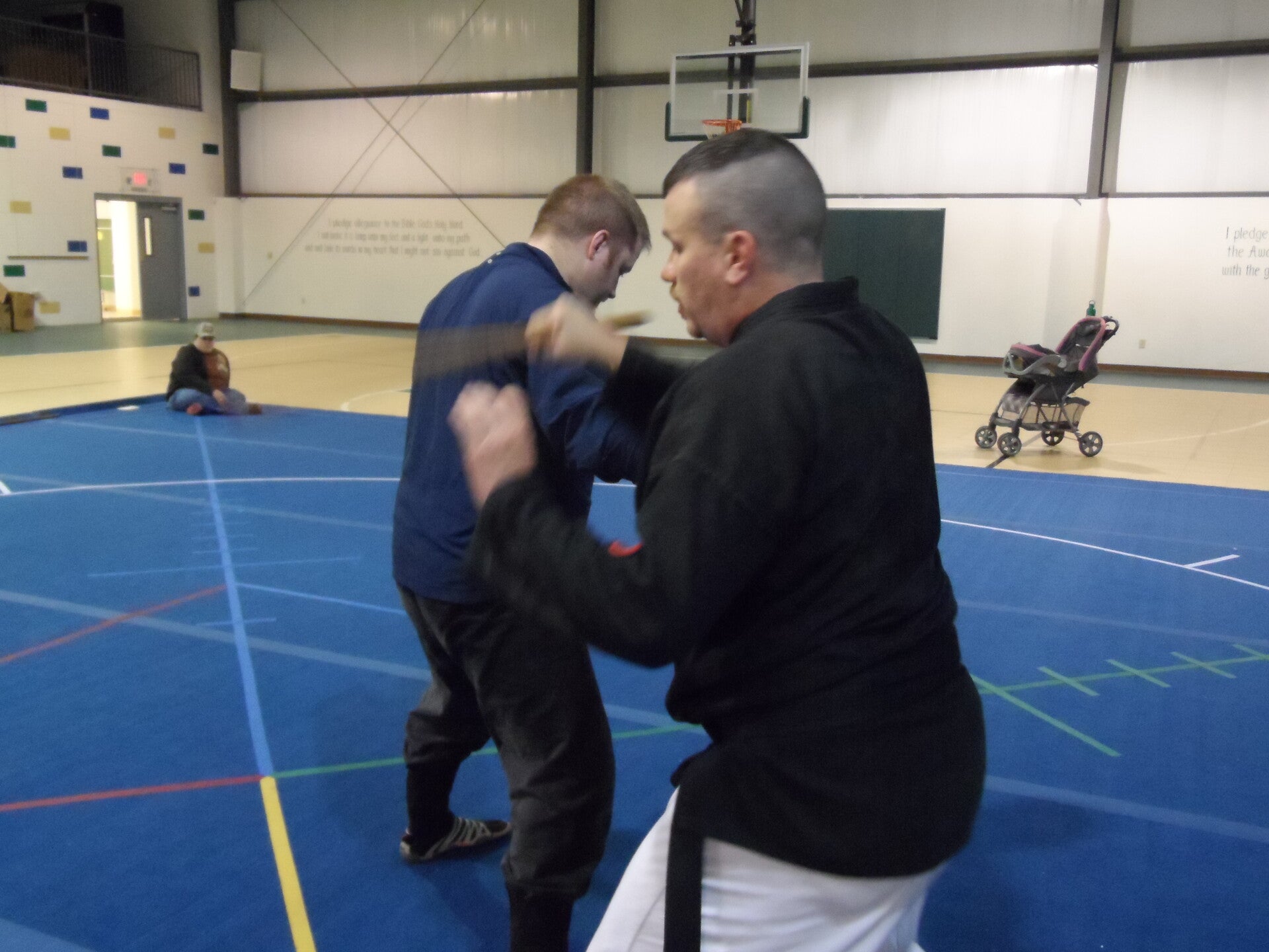 ninjutsu-341-standard.jpg