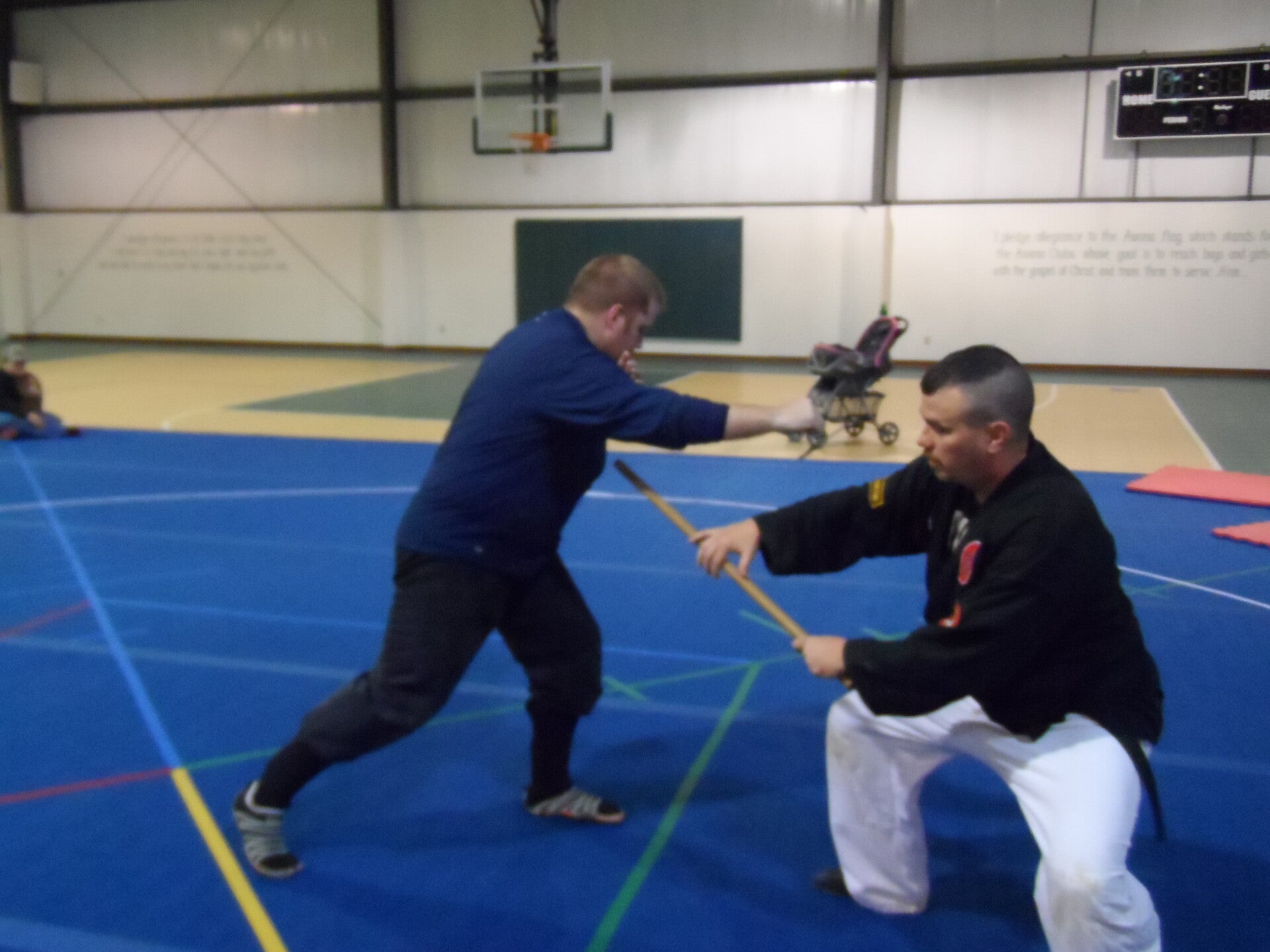 ninjutsu-342-standard.jpg