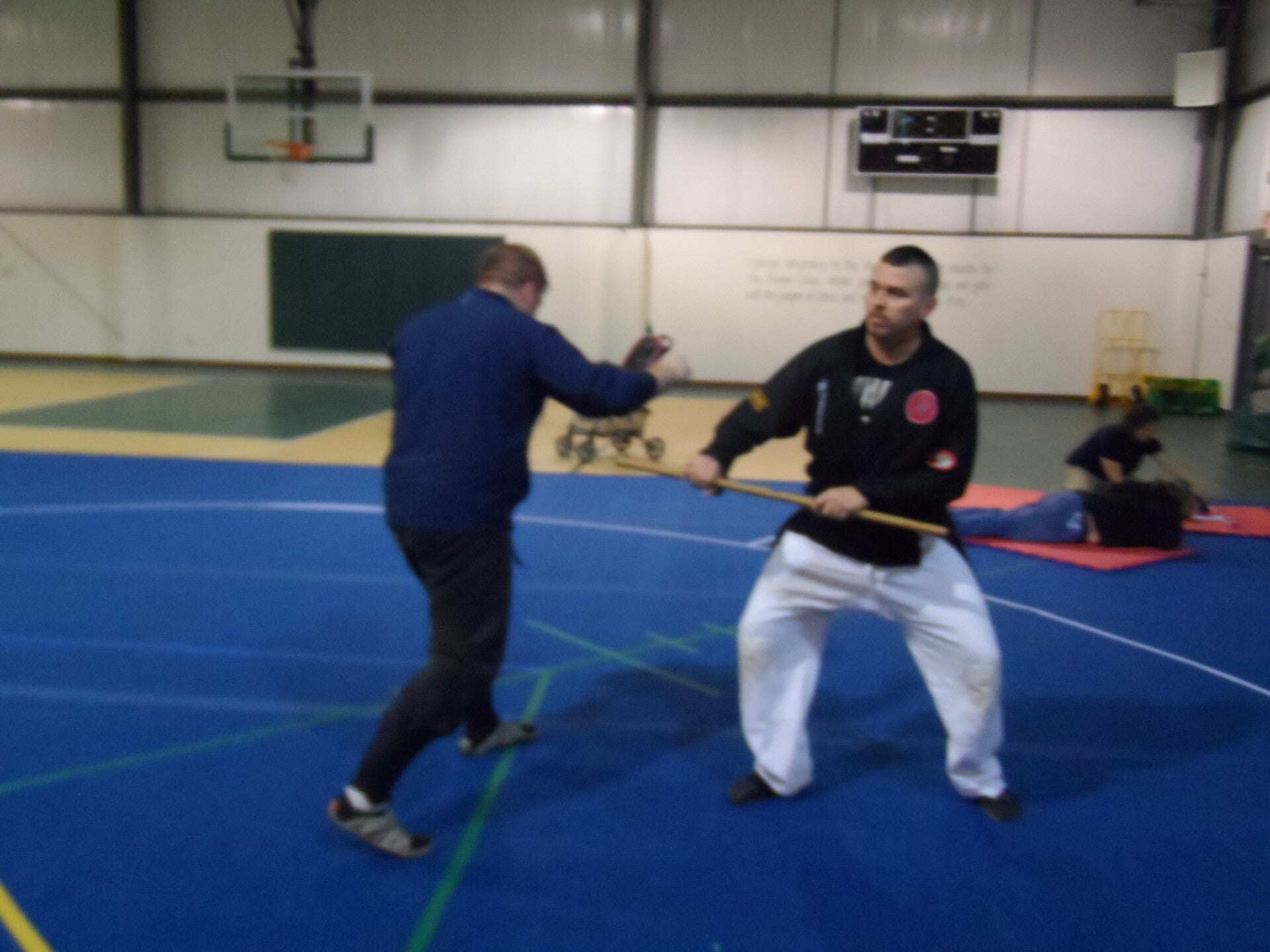 ninjutsu-343-standard.jpg