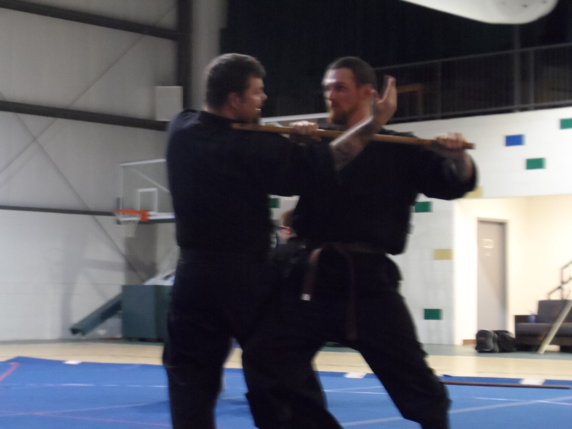 ninjutsu-365-standard.jpg