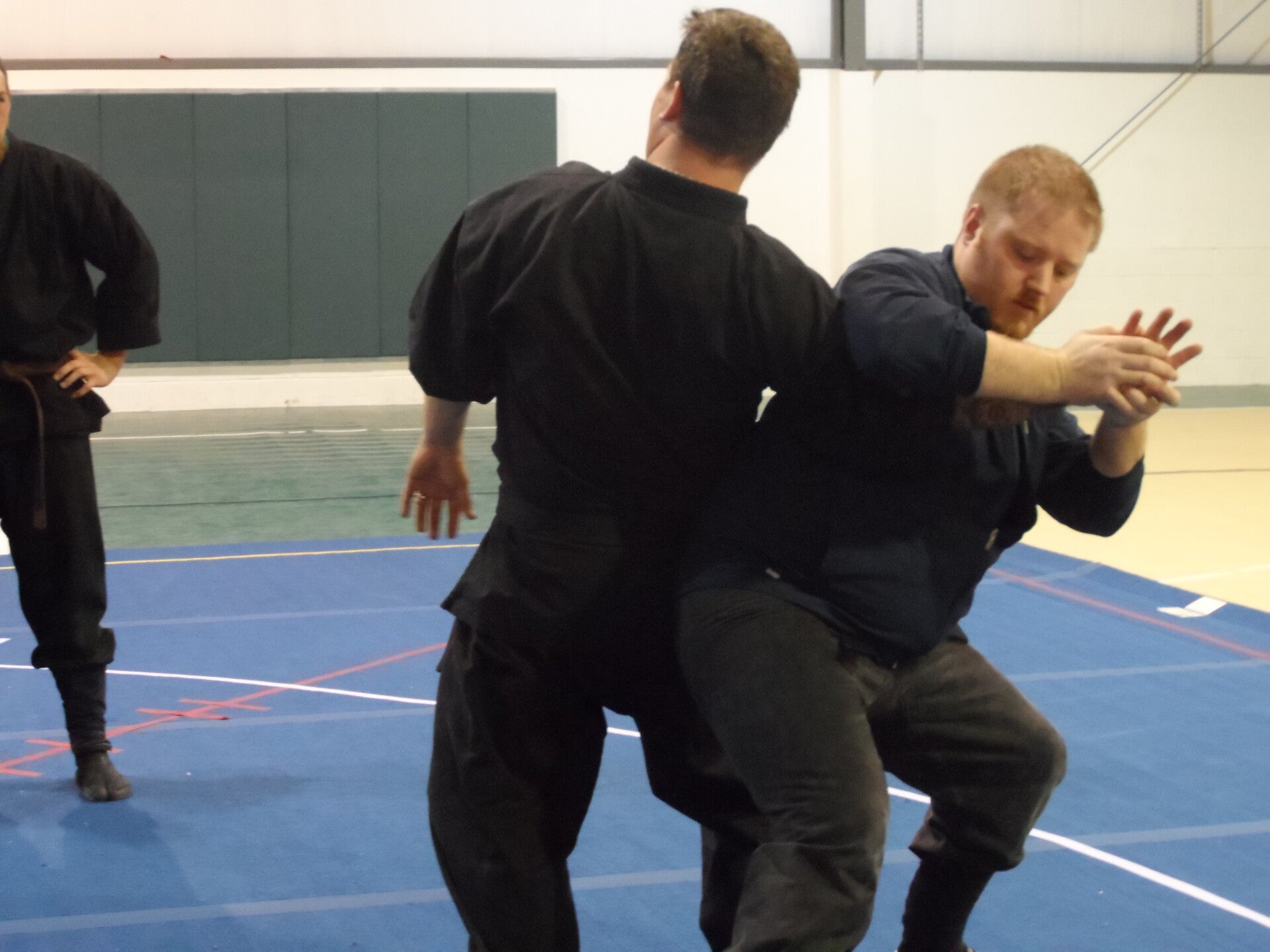 ninjutsu-368-standard.jpg