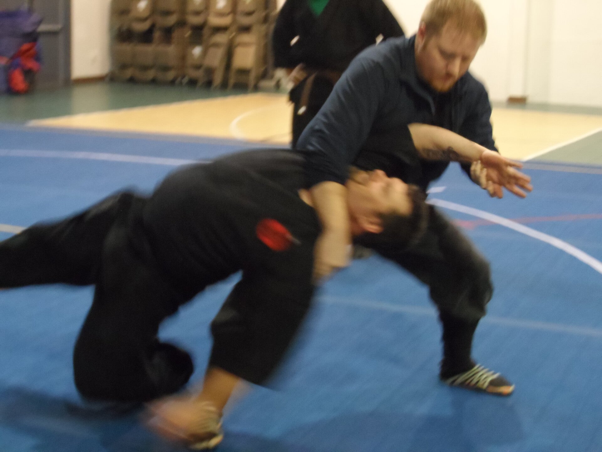 ninjutsu-370-standard.jpg