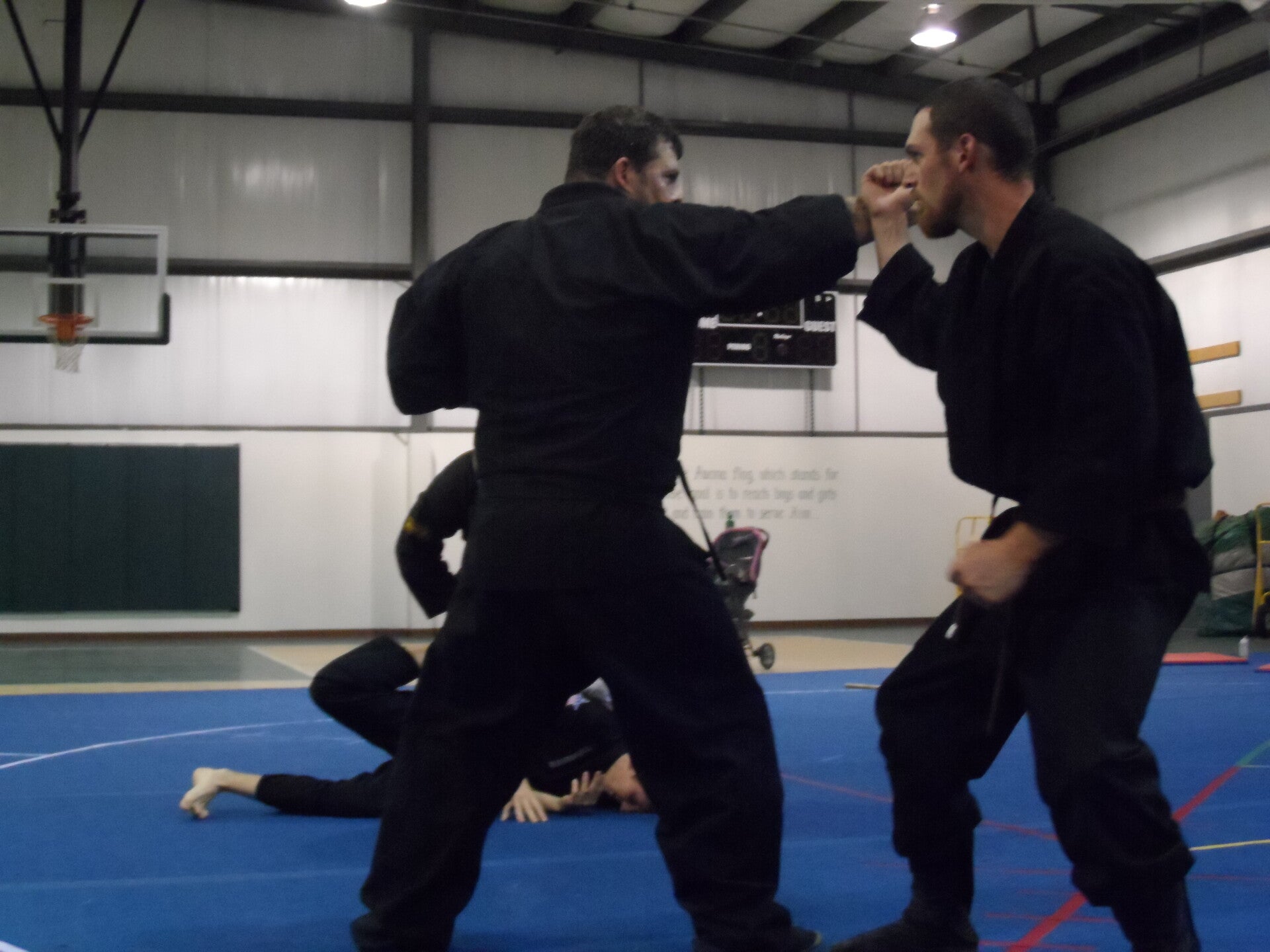 ninjutsu-552-standard.jpg