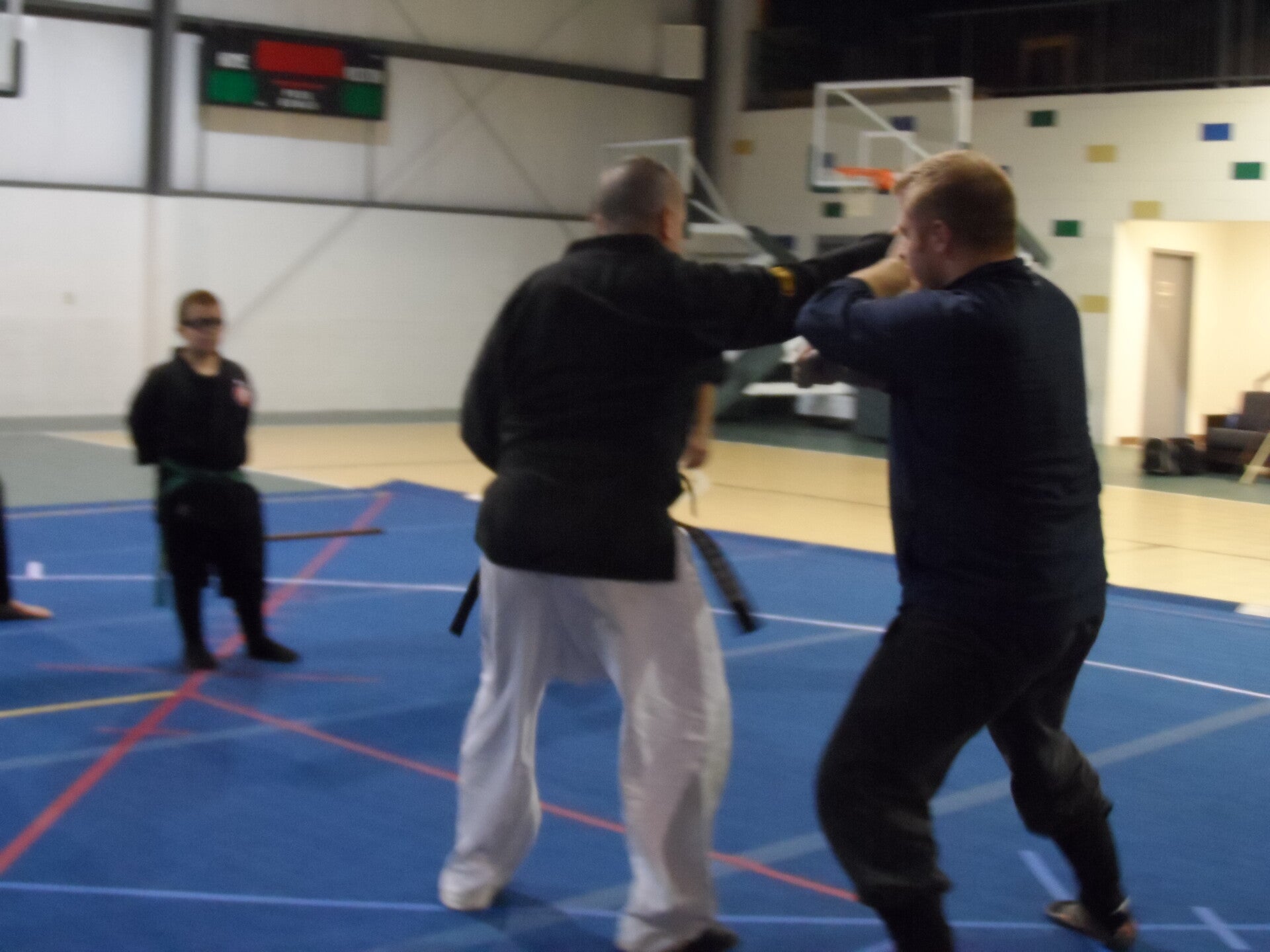 ninjutsu-584-standard.jpg