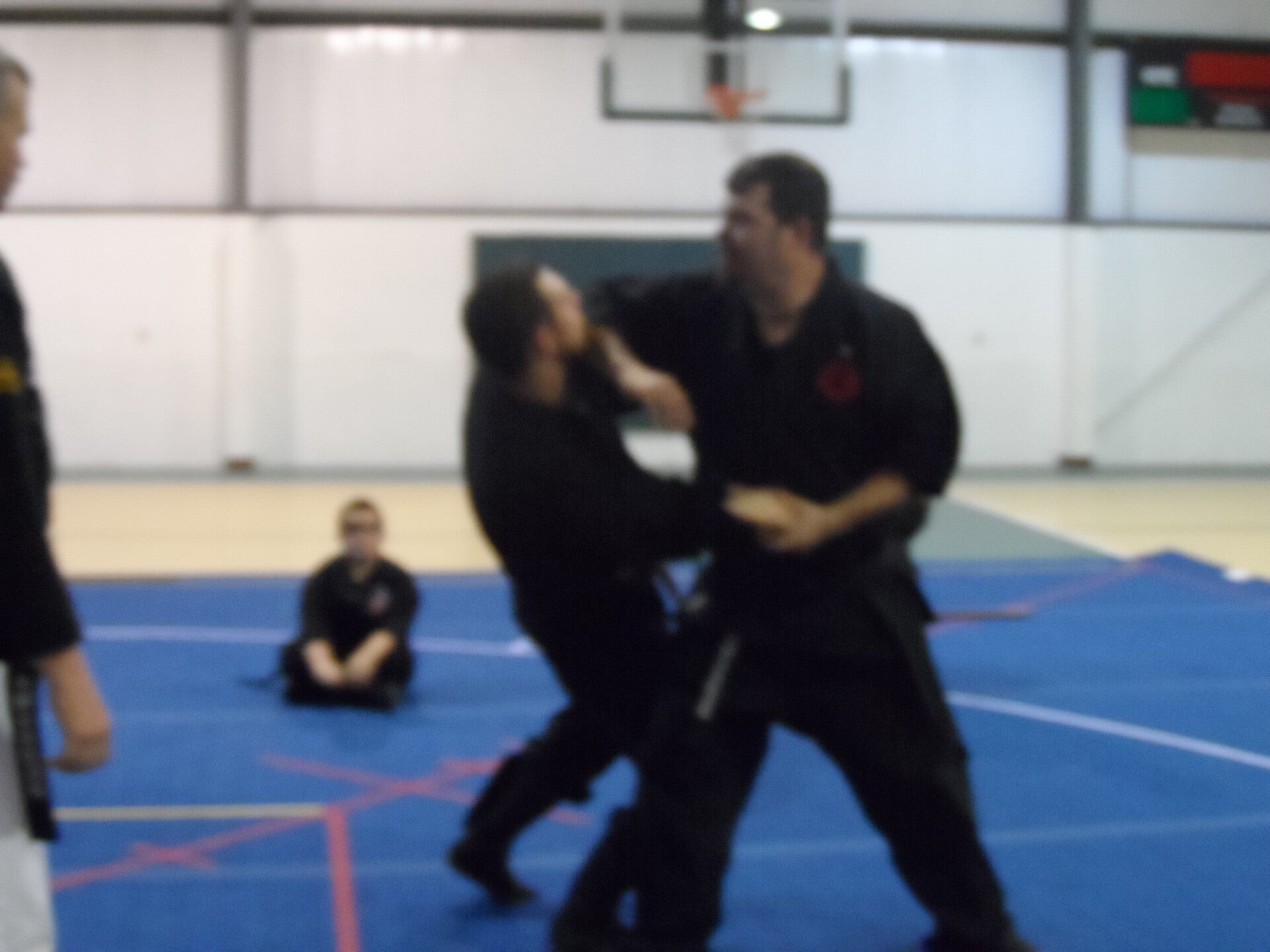 ninjutsu-590-standard.jpg