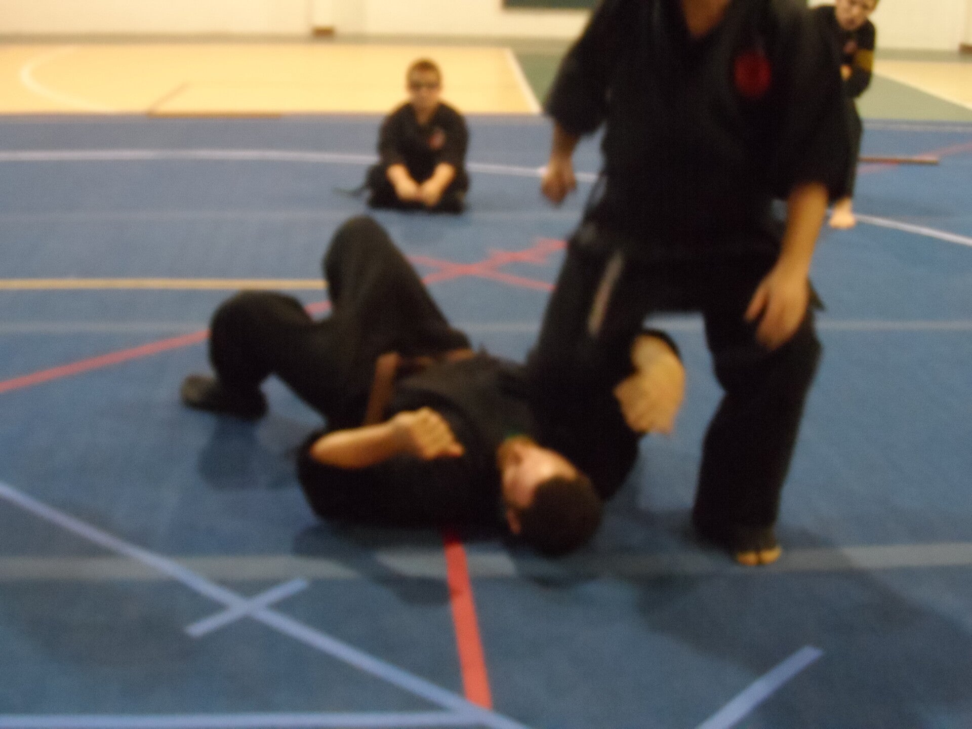 ninjutsu-591-standard.jpg