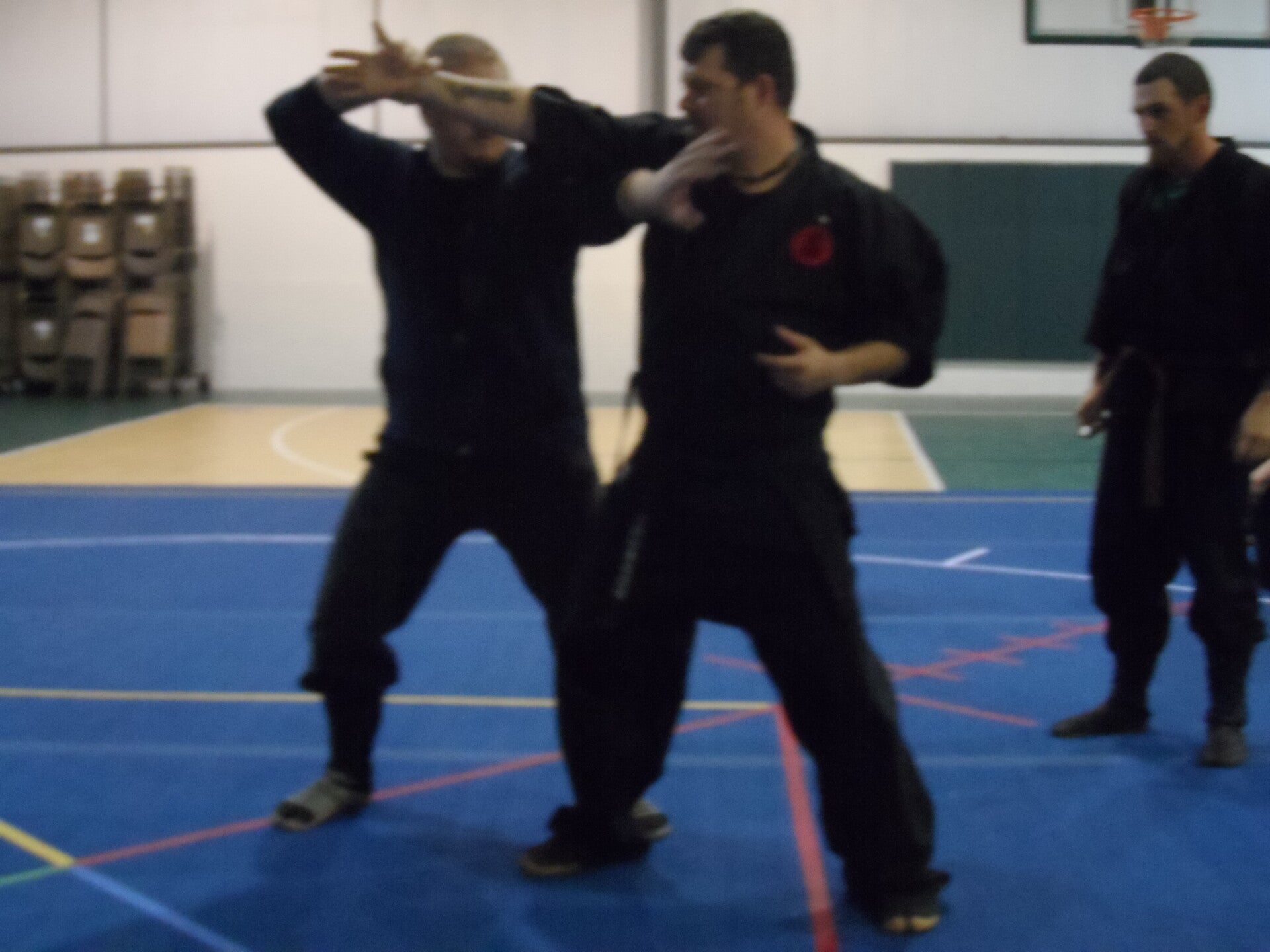 ninjutsu-592-standard.jpg