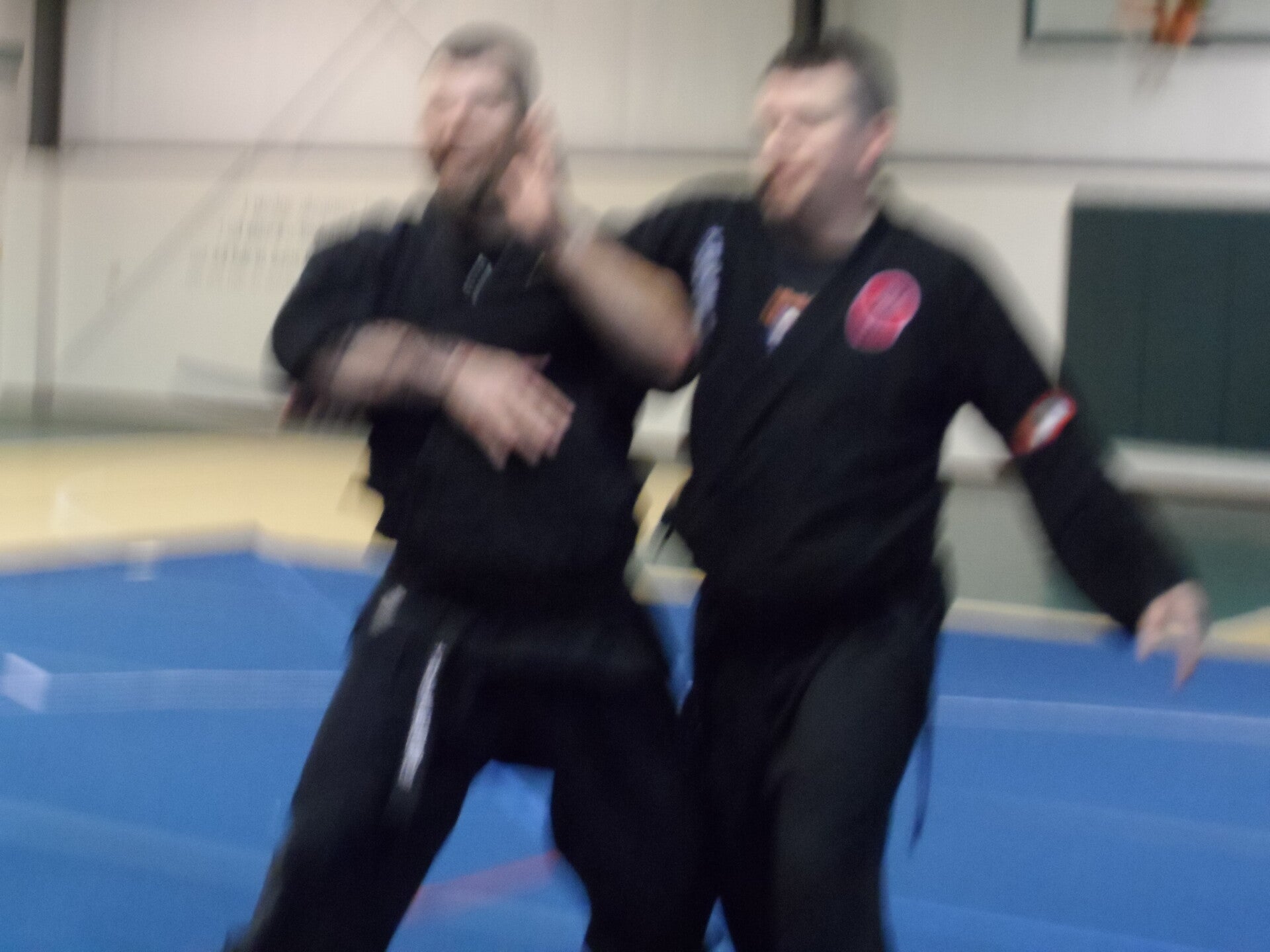 taijutsu-10-17-2013-255-standard.jpg
