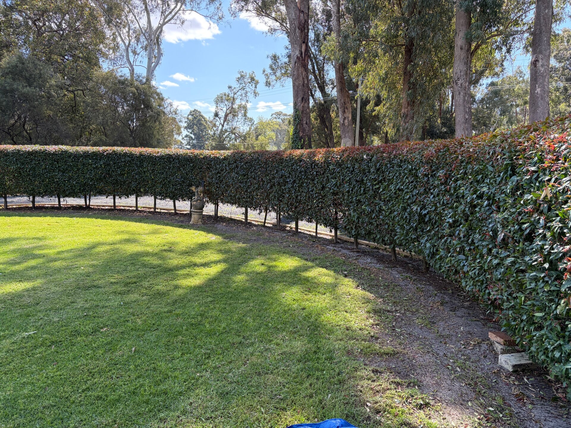 oakford hedging