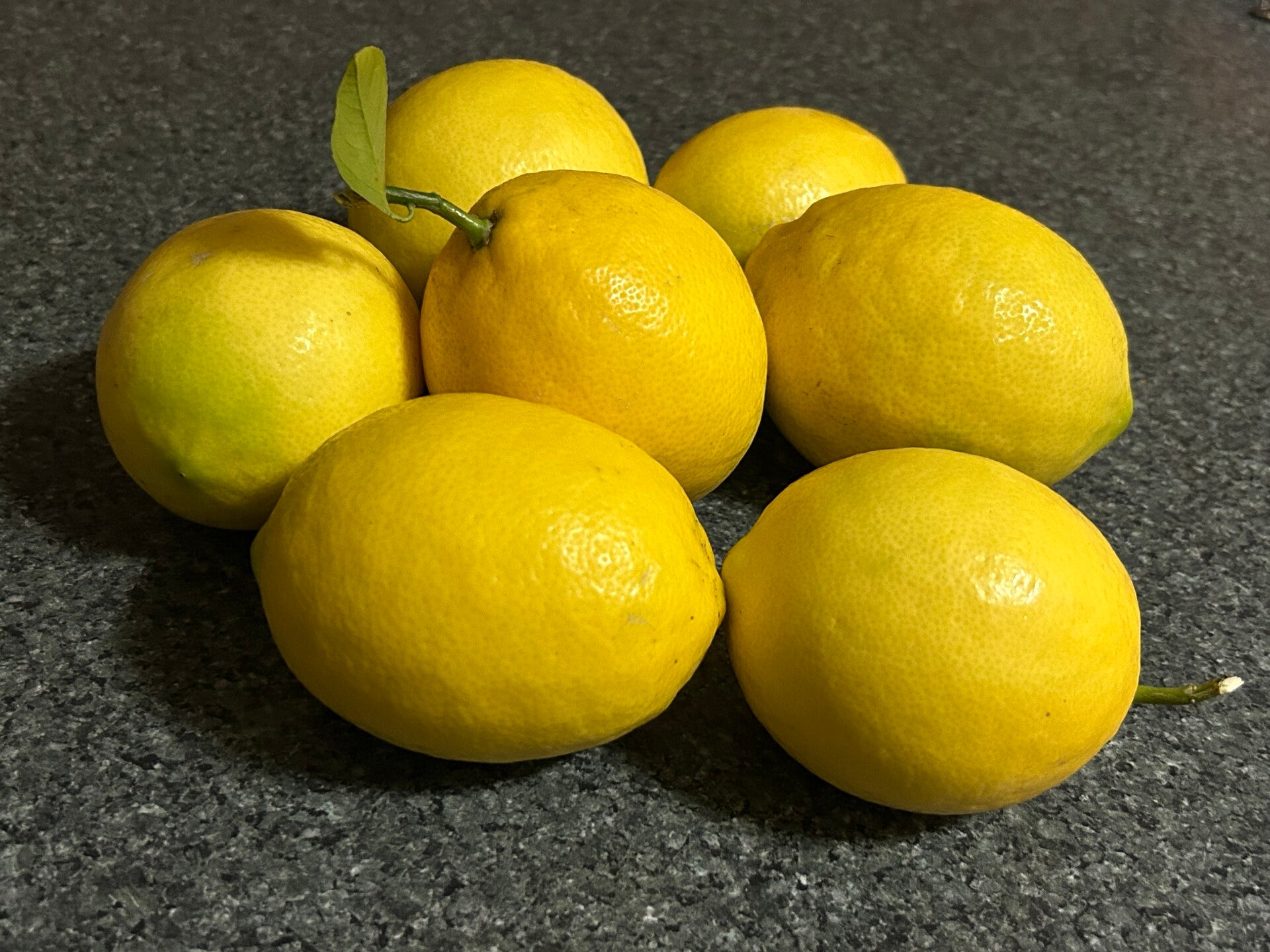 alfred cove fruit trees 