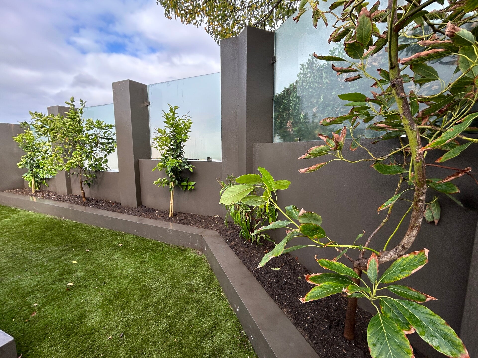 attadale fruit trees