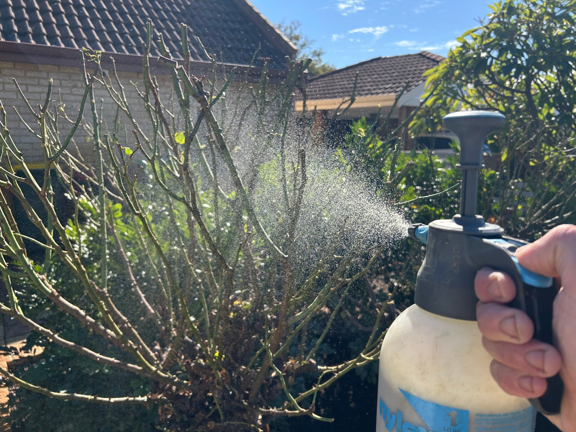 plant disease and pest control 