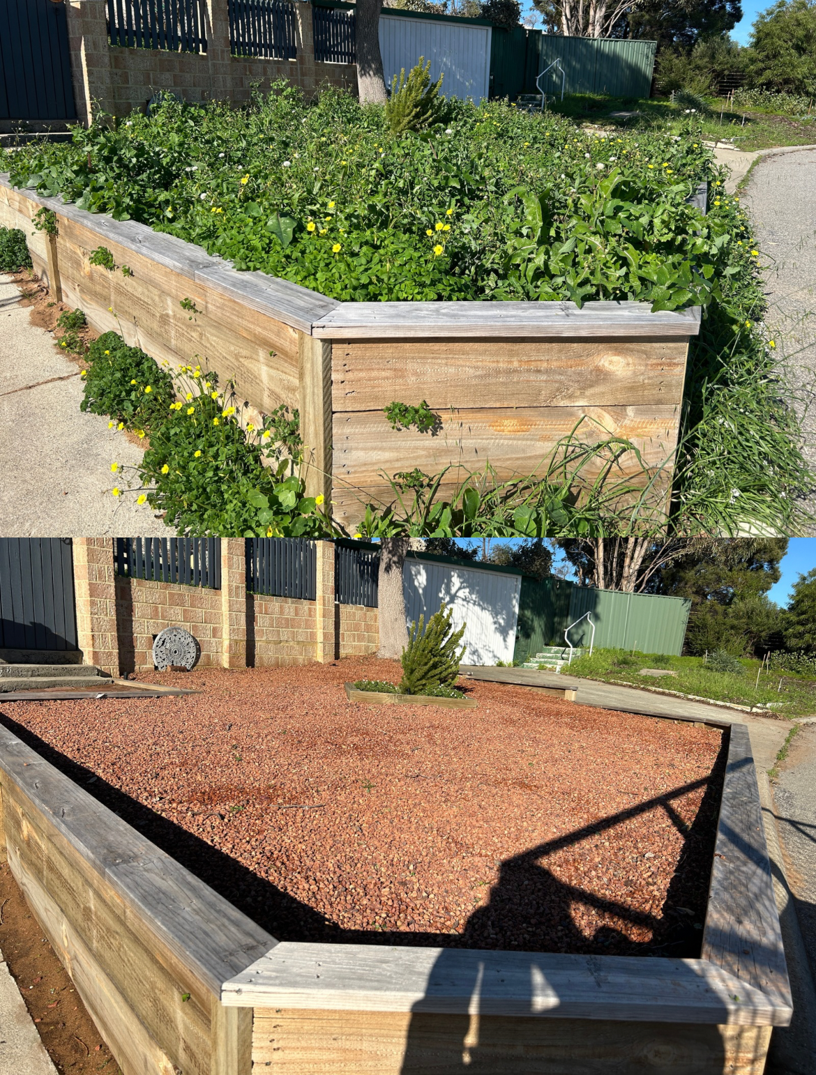 hamilton hill weeding