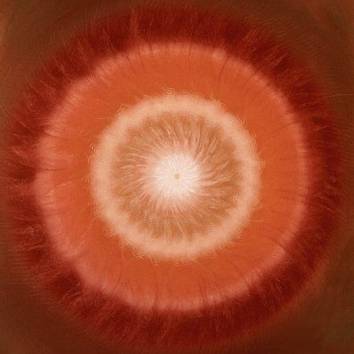 80x80cm