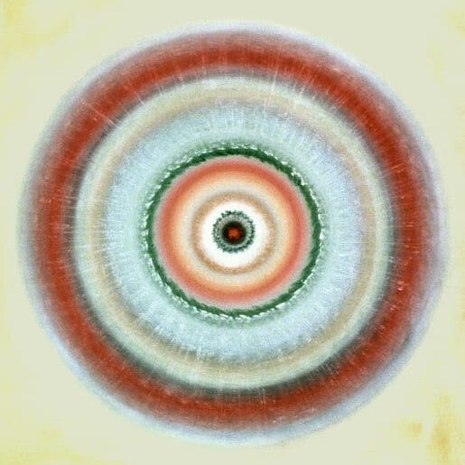 80x80cm