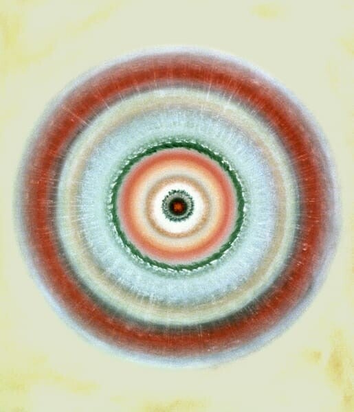 100x85cm
