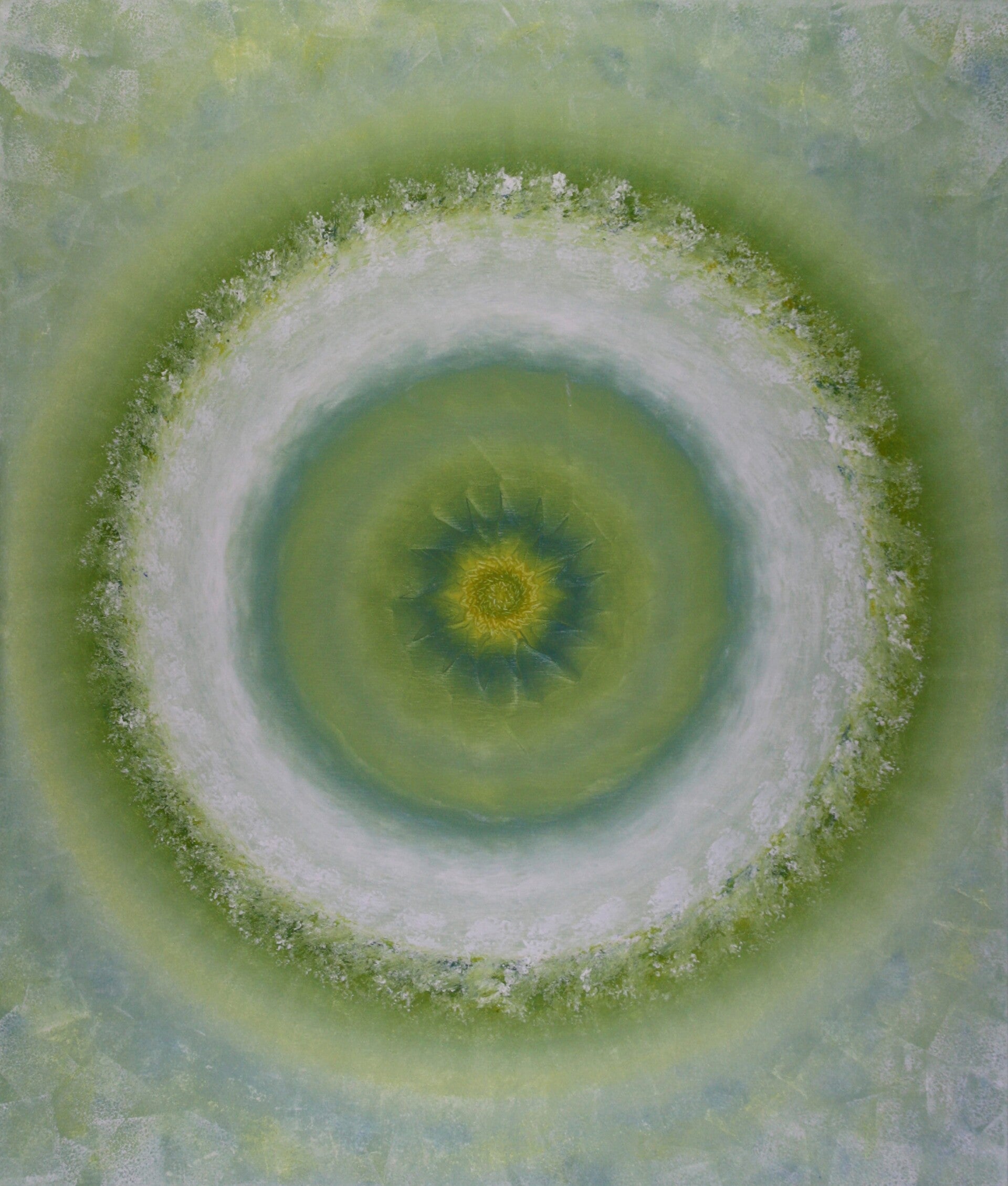 079