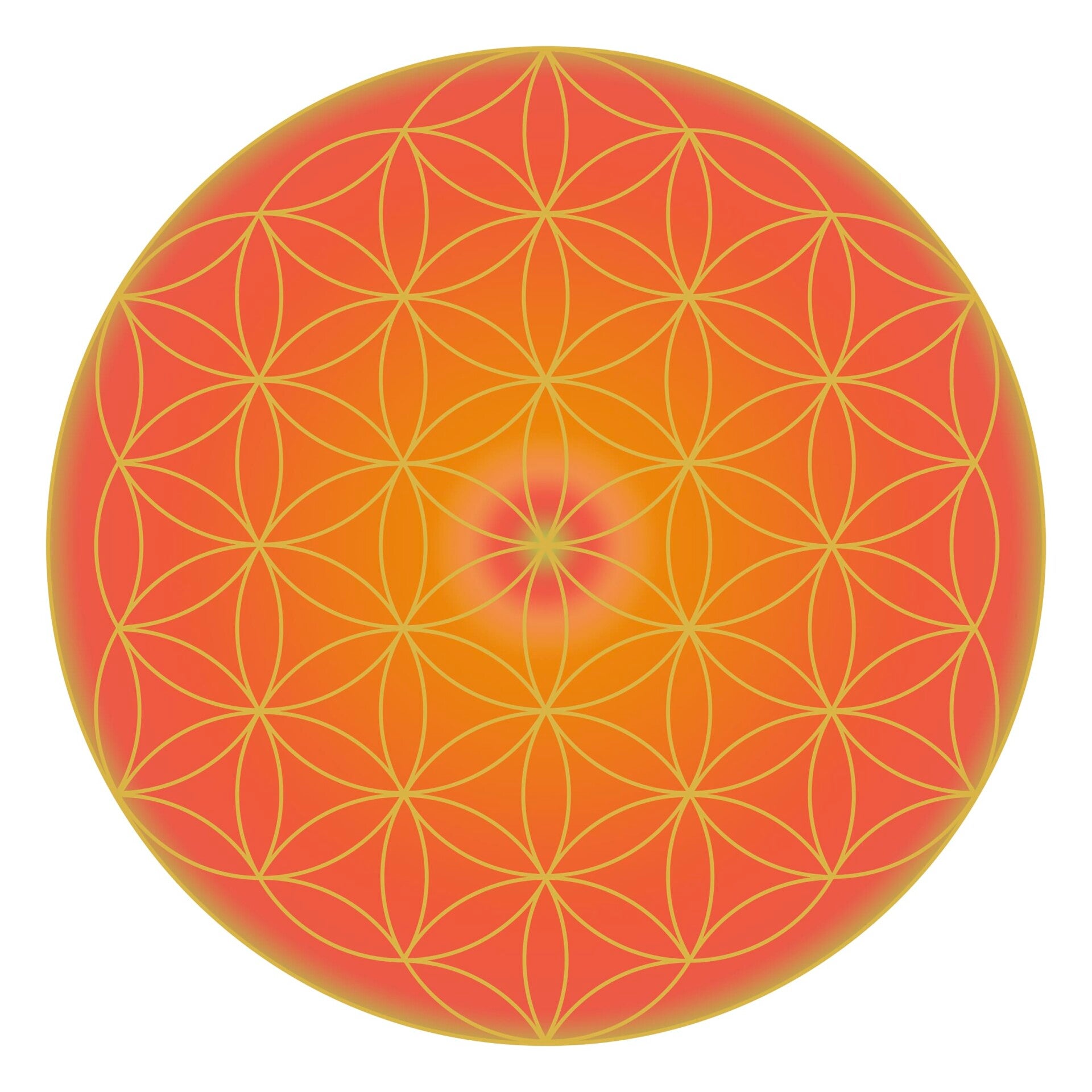009