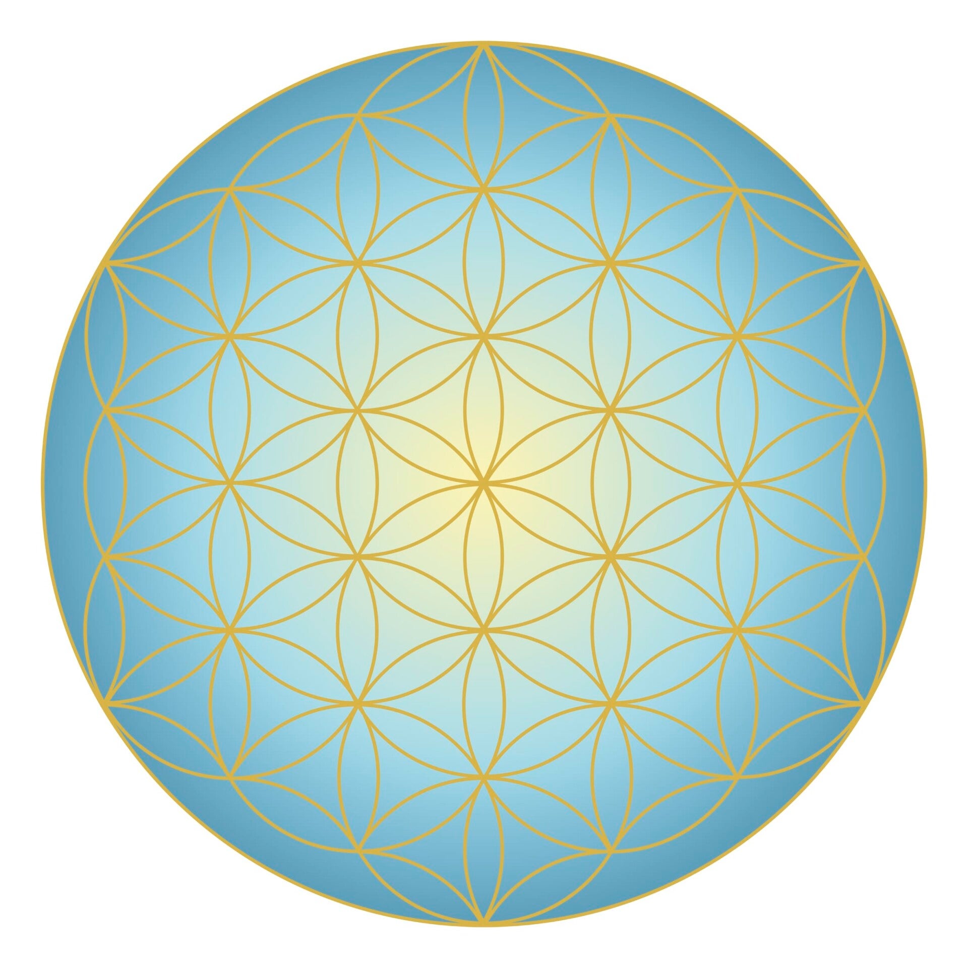 080