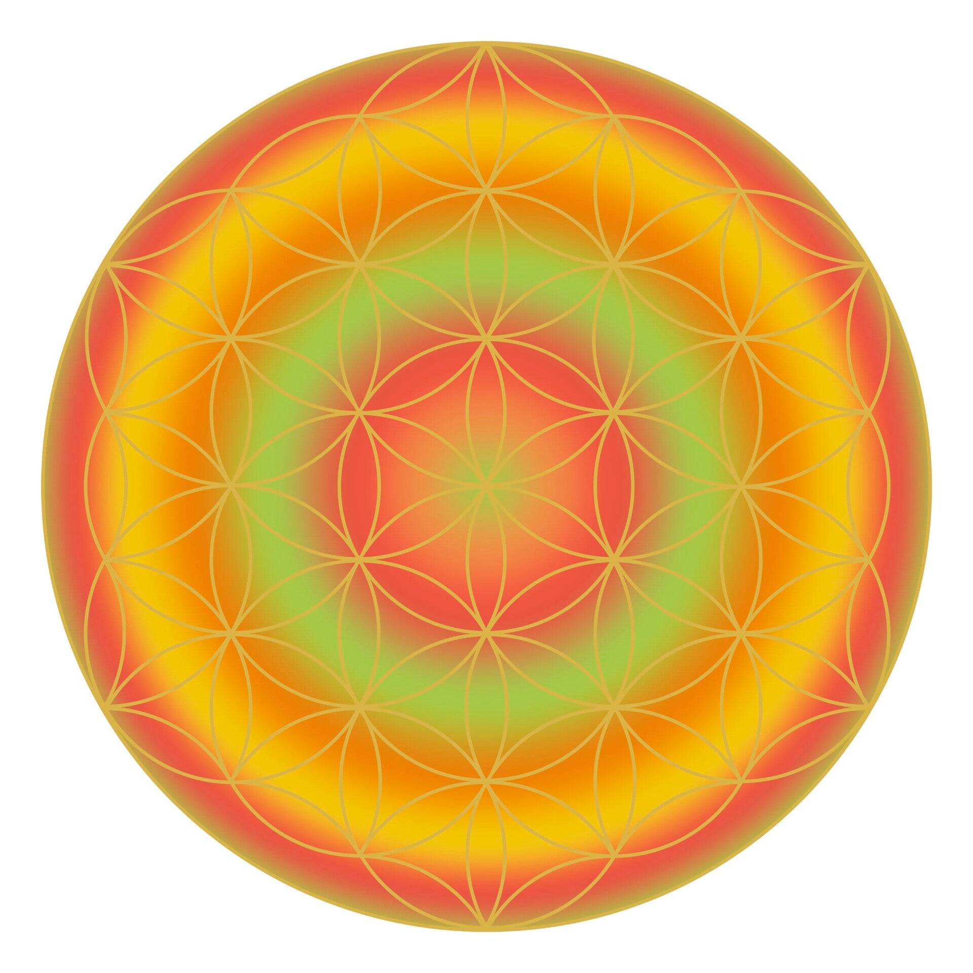 087