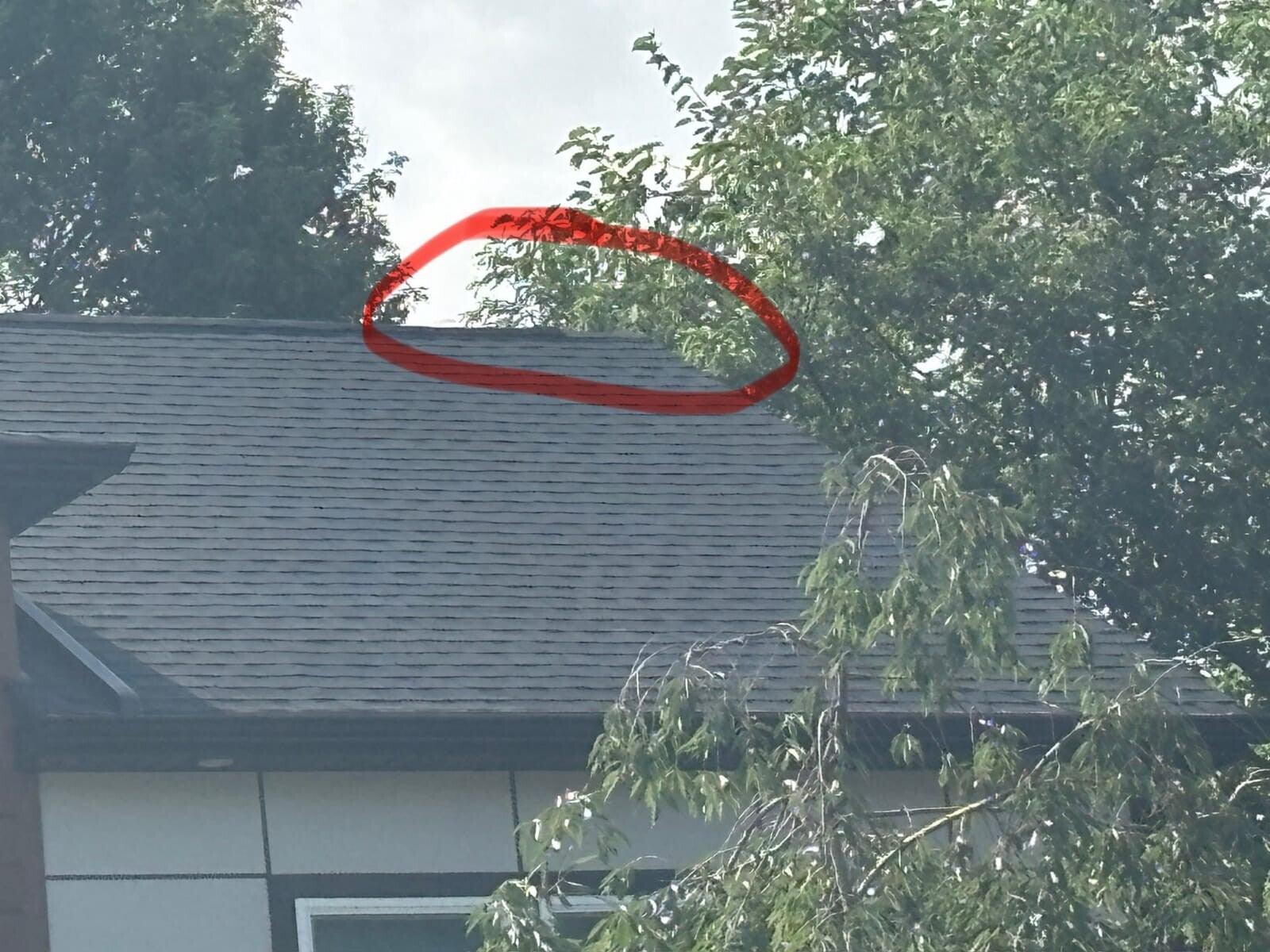 Emergency Roof Repair NJ