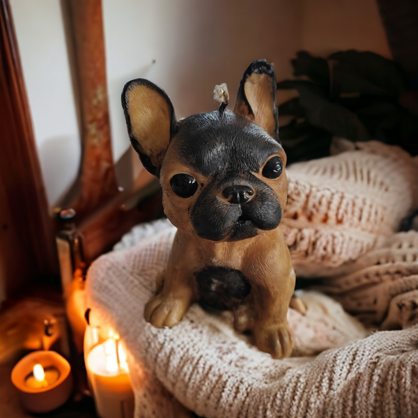 Maxi bougie bouledogue Adoucissant
