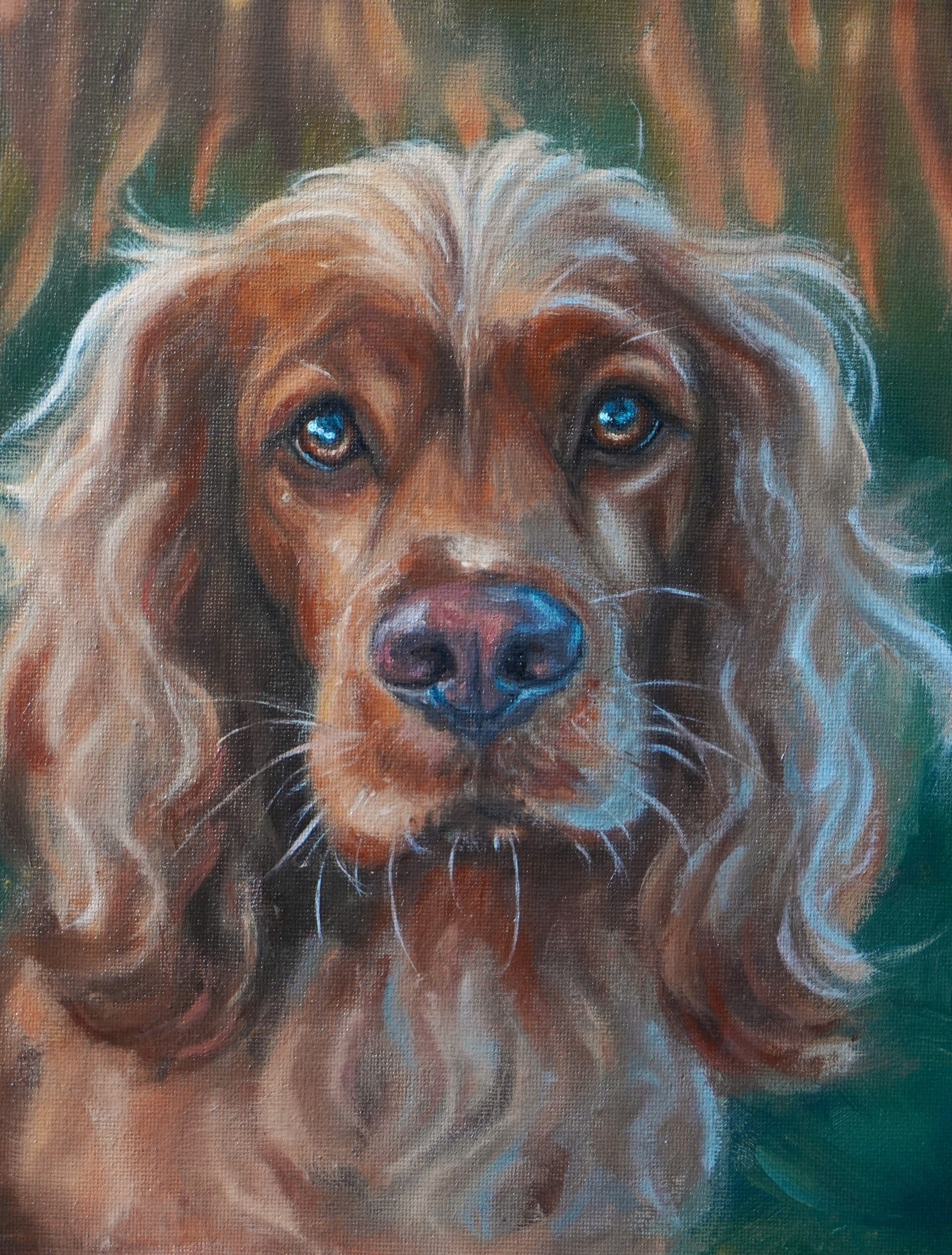 Cocker Spaniel