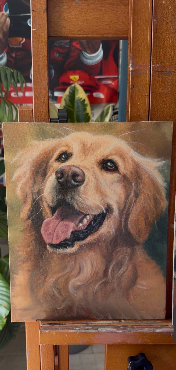 Golden Retriever