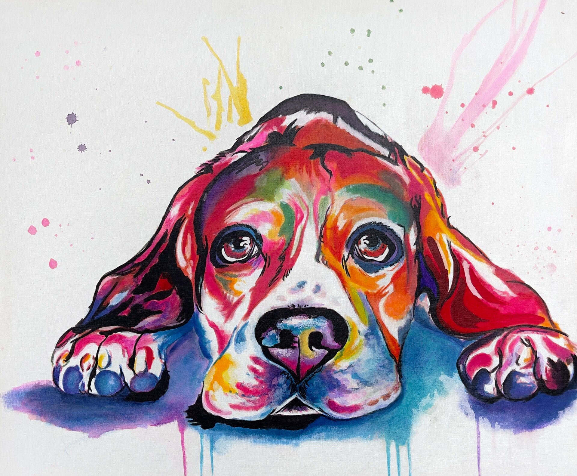 Beagle aux couleurs éclatantes