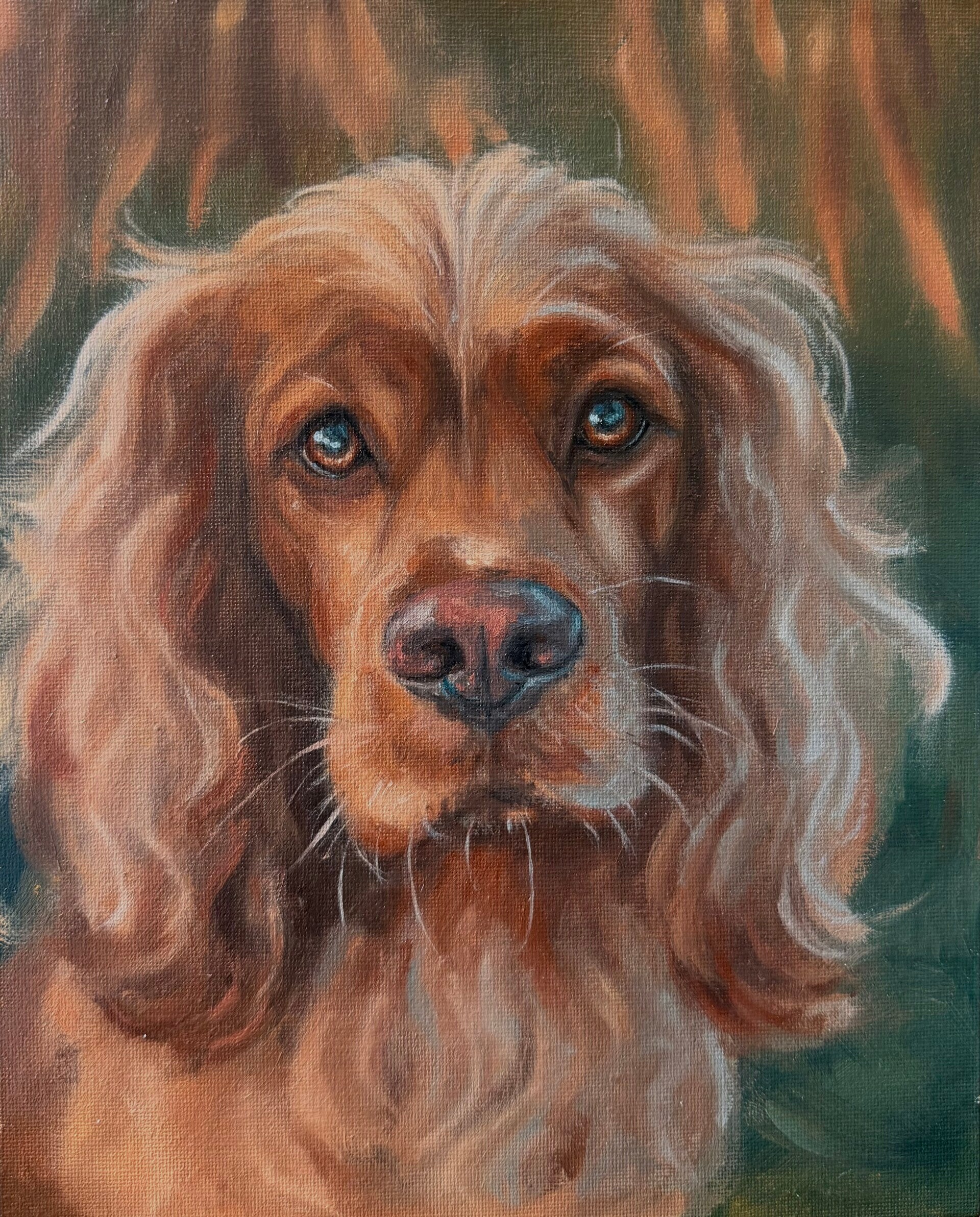 Cocker Spaniel