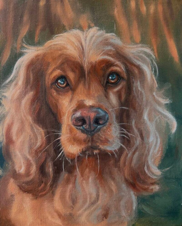 Cocker Spaniel