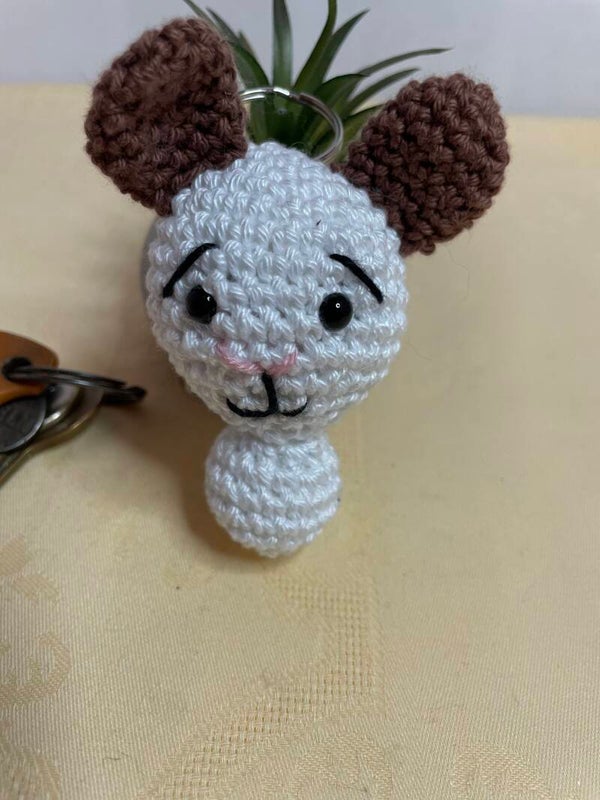 Hase