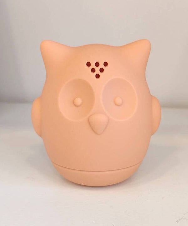 Hibou saumon