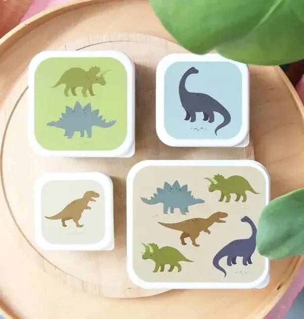 4 lunch box dinosaures