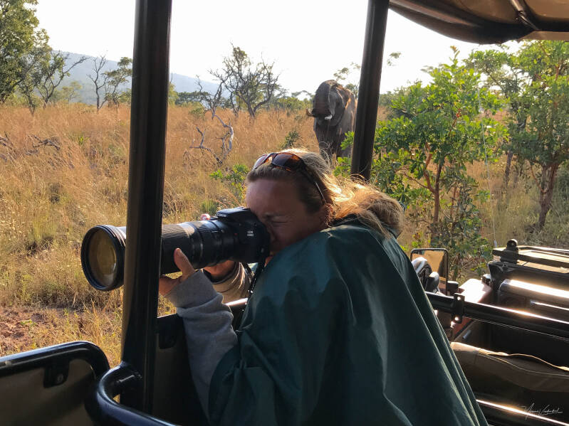 Yvonne camera olifant