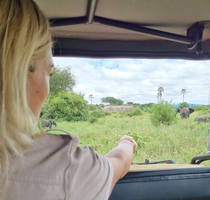 "4x4 safari piste Serengeti - Véhicule tout-terrain aventure Tanzanie"