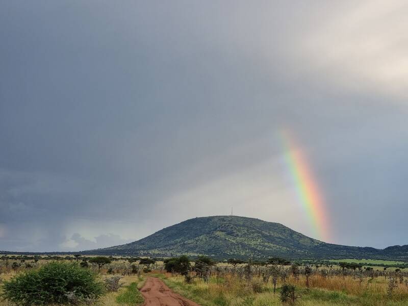 "arc en ciel à serengeti safari incroyable beauté du paysage tanzanien savane"