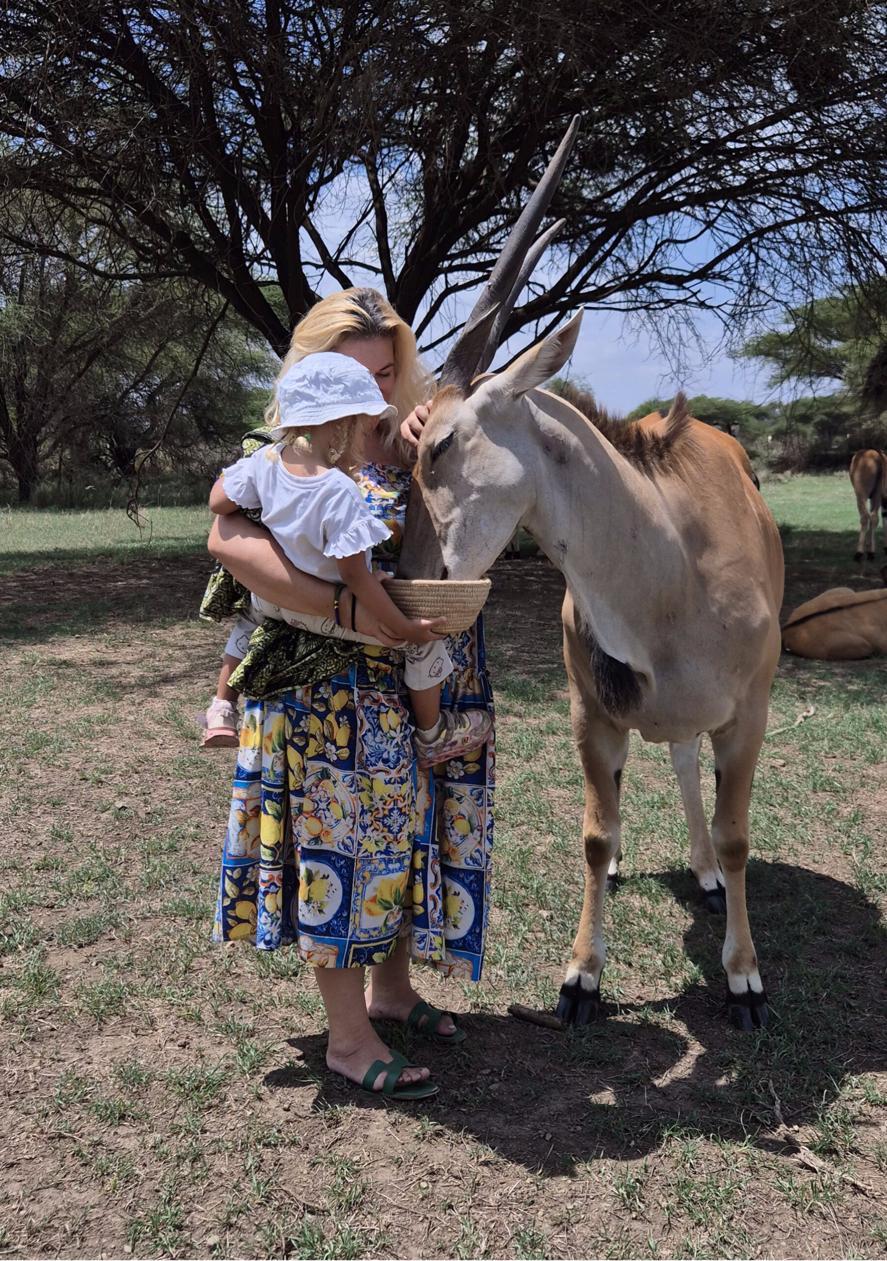 Enfant et parent en safari 