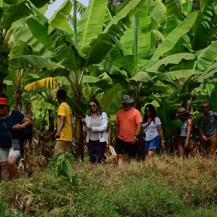 "Groupe amis safari Tanzanie - Voyage aventure entre amis"