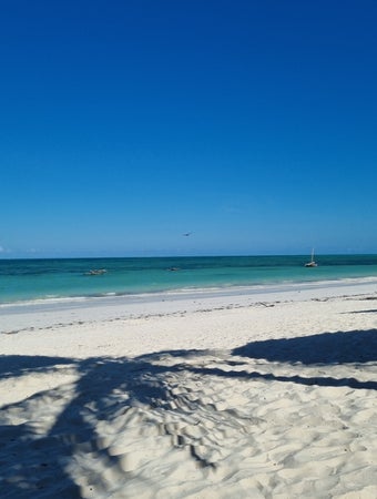 "Plage sable blanc océan turquoise Zanzibar - Séjour détente après safari"