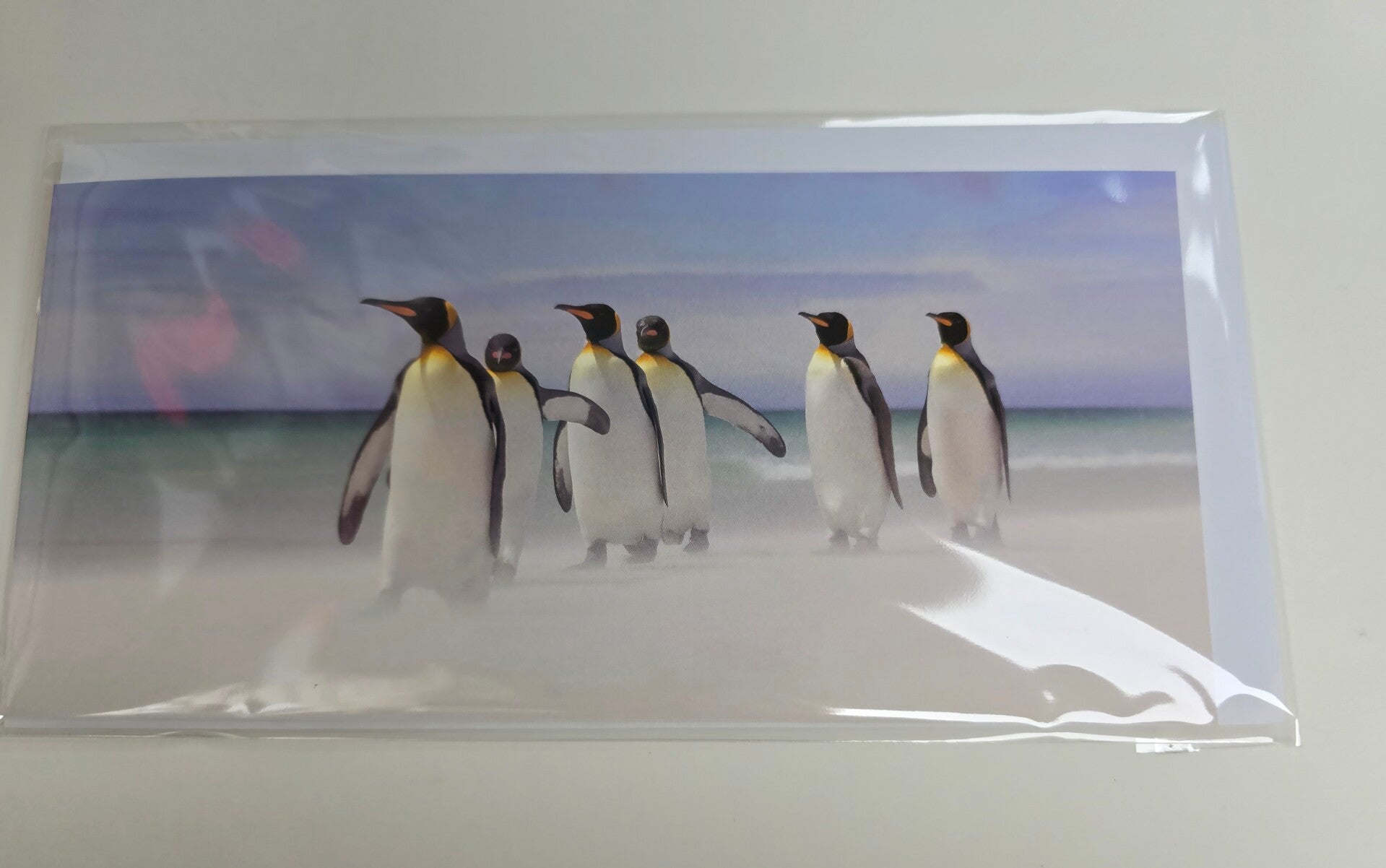 King Penguins